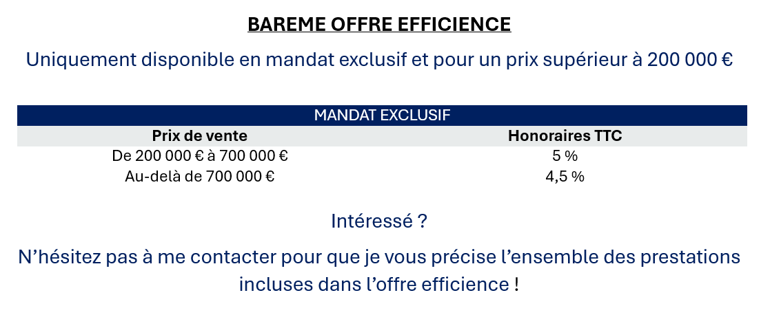 Capture d'écran 2024-04-03 offre efficience.png